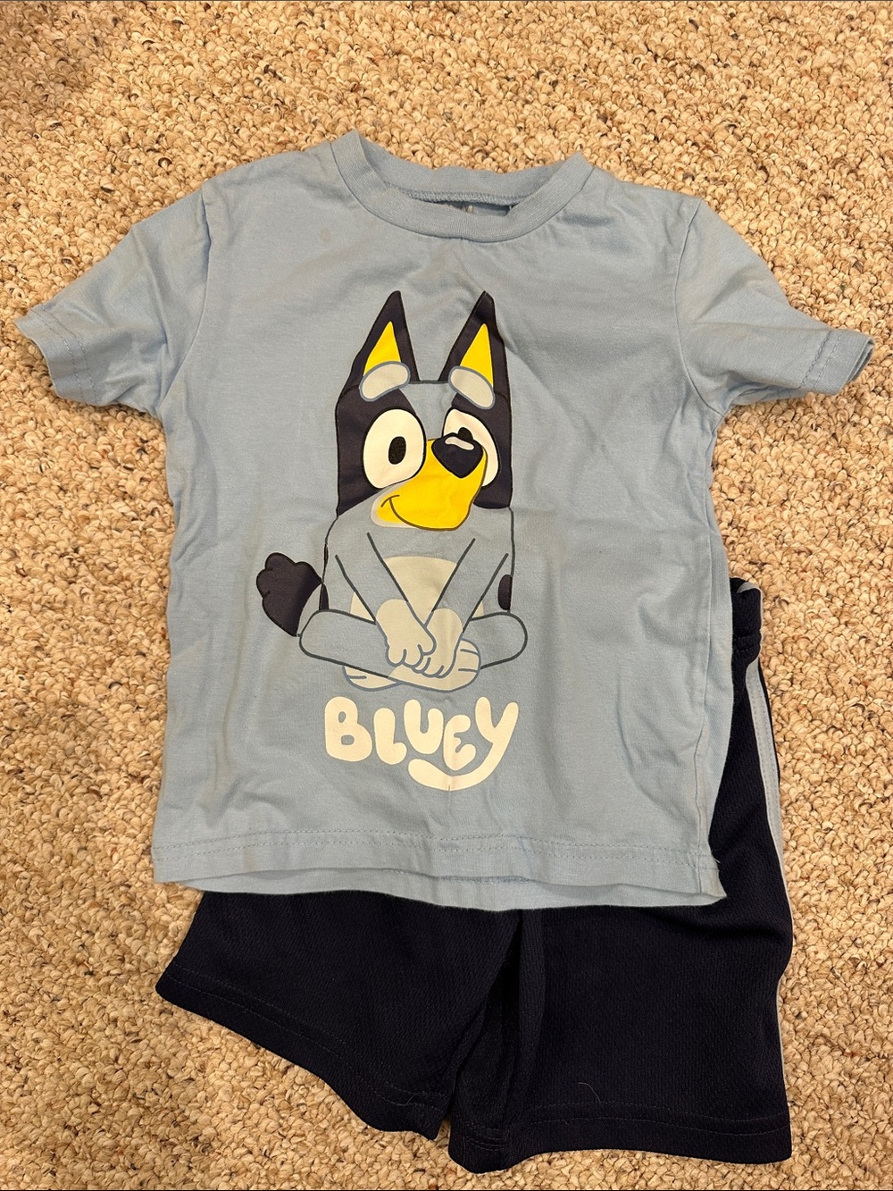 Bluey Boys Light Blue Graphic Tee & Navy Shorts Matching Set